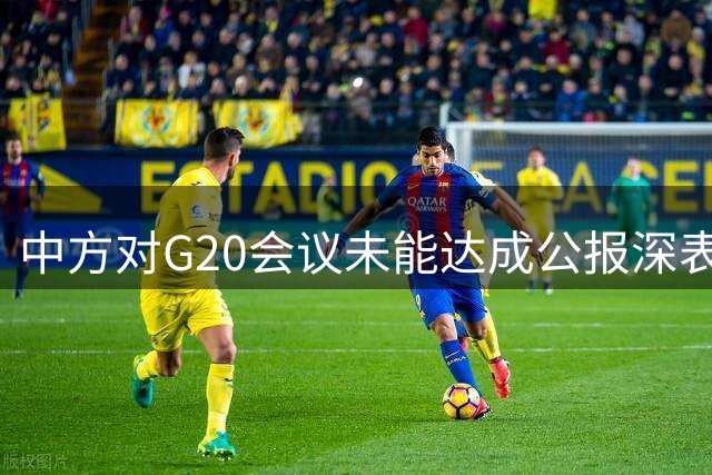 中方对G20会议未能达成公报深表关切