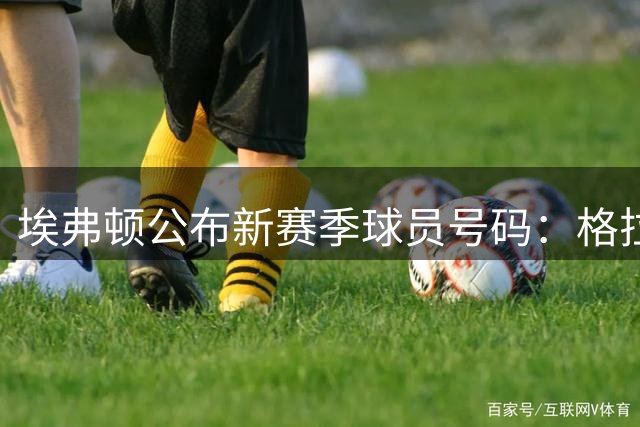 埃弗顿公布新赛季球员号码：格拉利什10号，奈尔斯2号