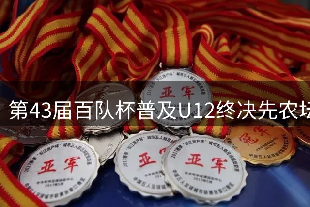 第43届百队杯普及U12终决先农坛 多赛区举行颁奖仪式